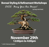 Bonsai Styling & Refinement Workshop - Sat., November 29th